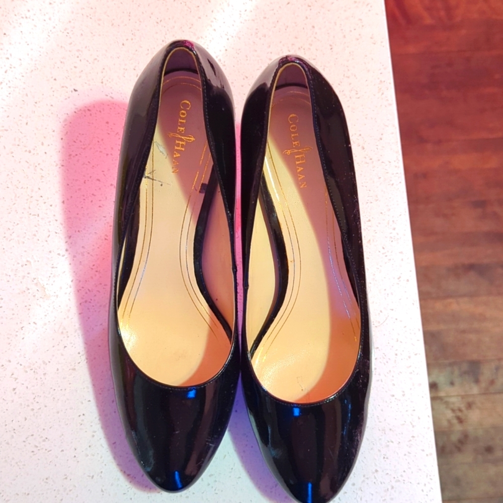 Cole Haan Nike Air Pumps